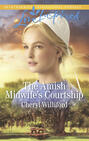 The Amish Midwife\'s Courtship