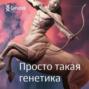 Откуда родом? Рассказываем, как разобраться в своей родословной