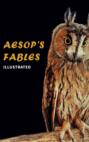 Aesop\'s Fables