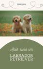 Alles rund um Labrador Retriever