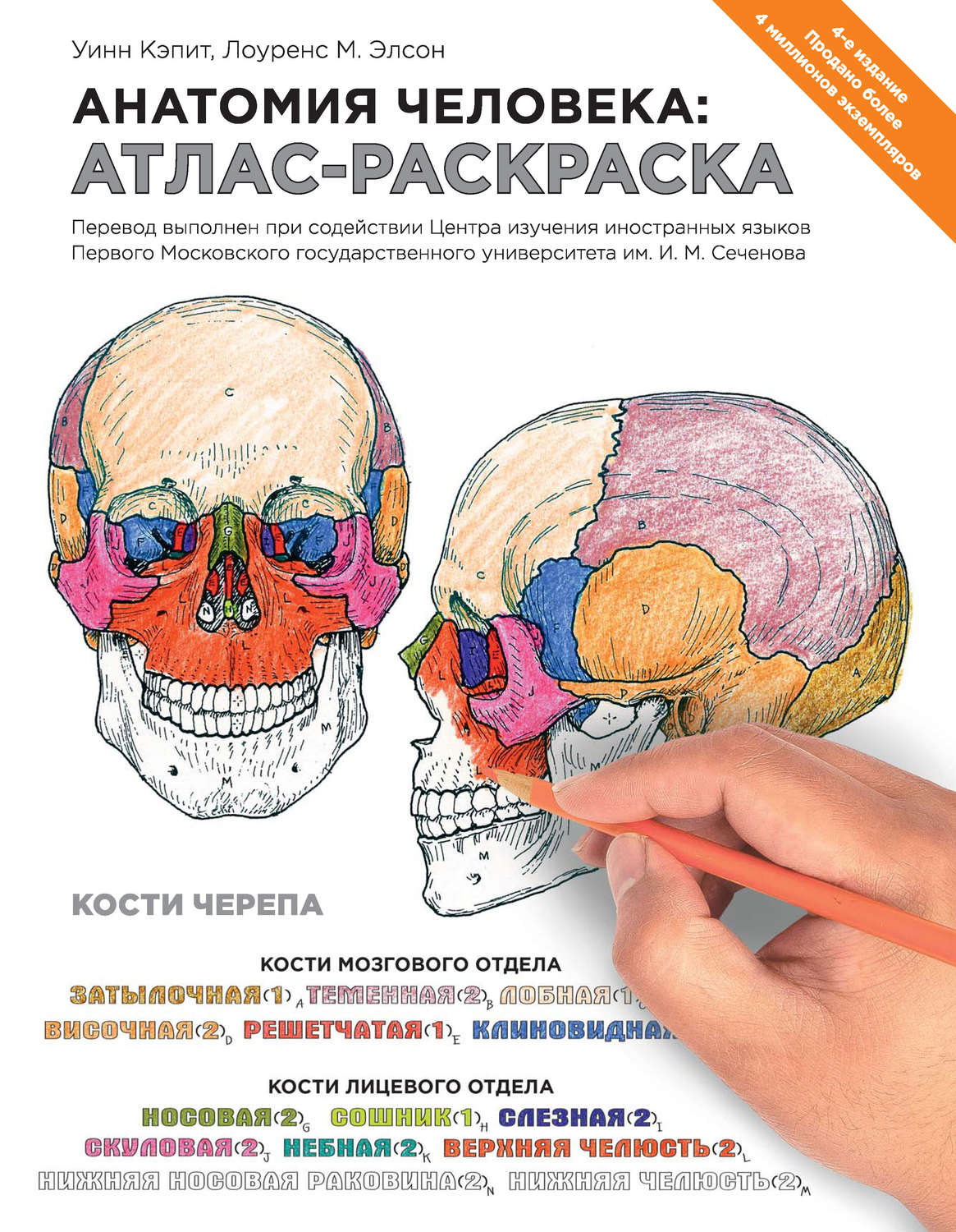 Русско-латинский атлас анатомии человека